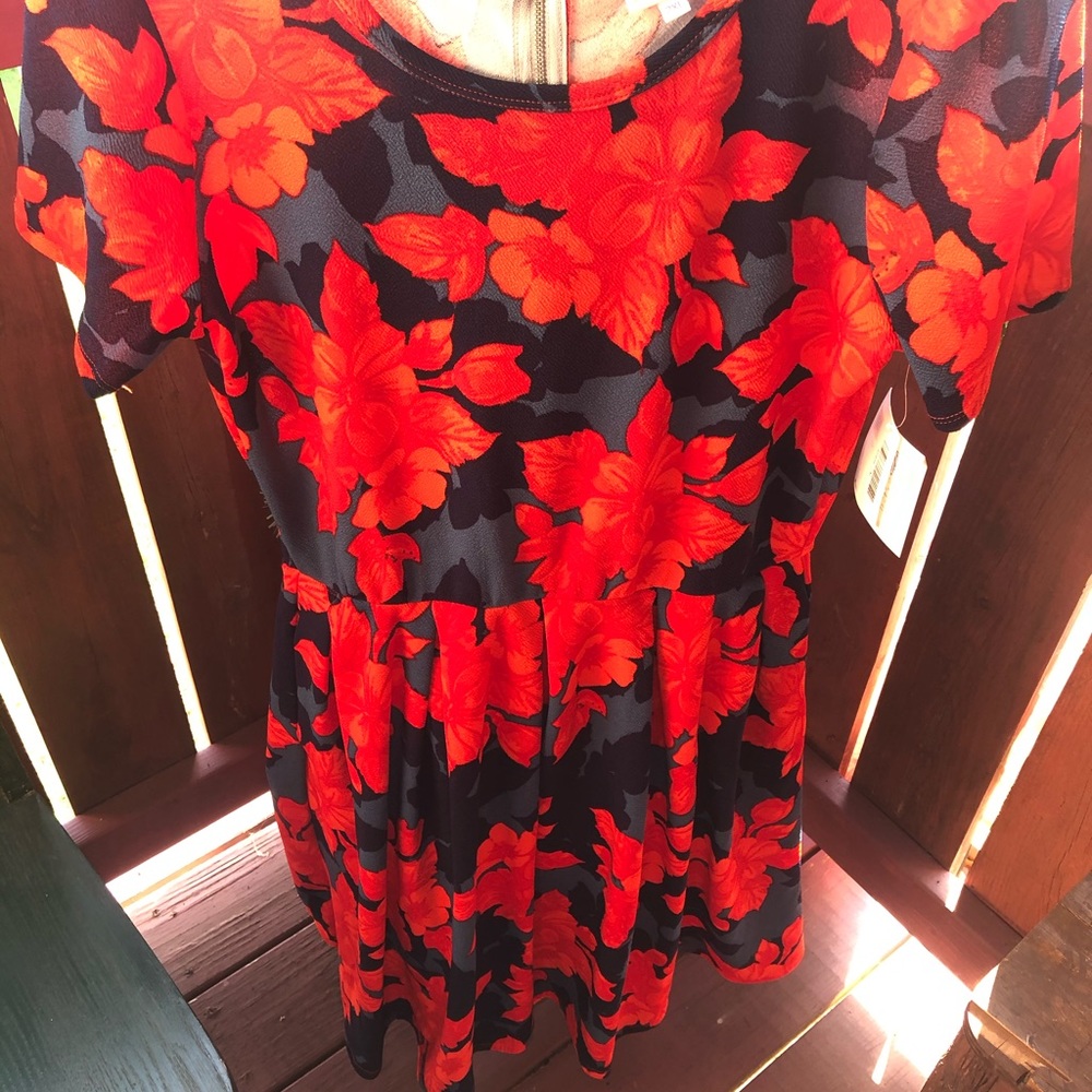 Lularoe Dress size 2XL